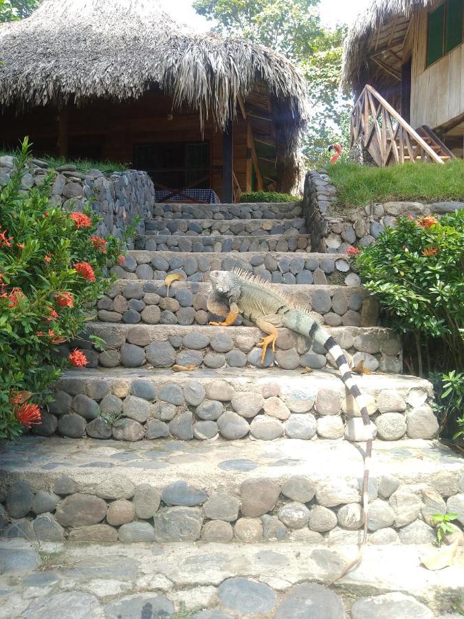 Ecocabanas Diosa Jaguar Tayrona La Esmeralda (Magdalena) Exterior foto