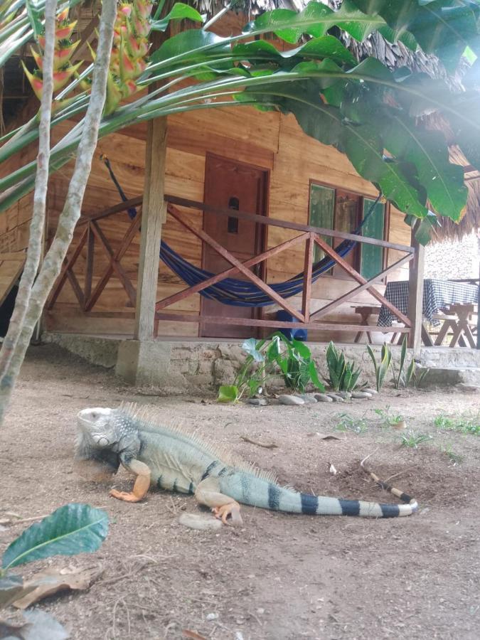 Ecocabanas Diosa Jaguar Tayrona La Esmeralda (Magdalena) Exterior foto