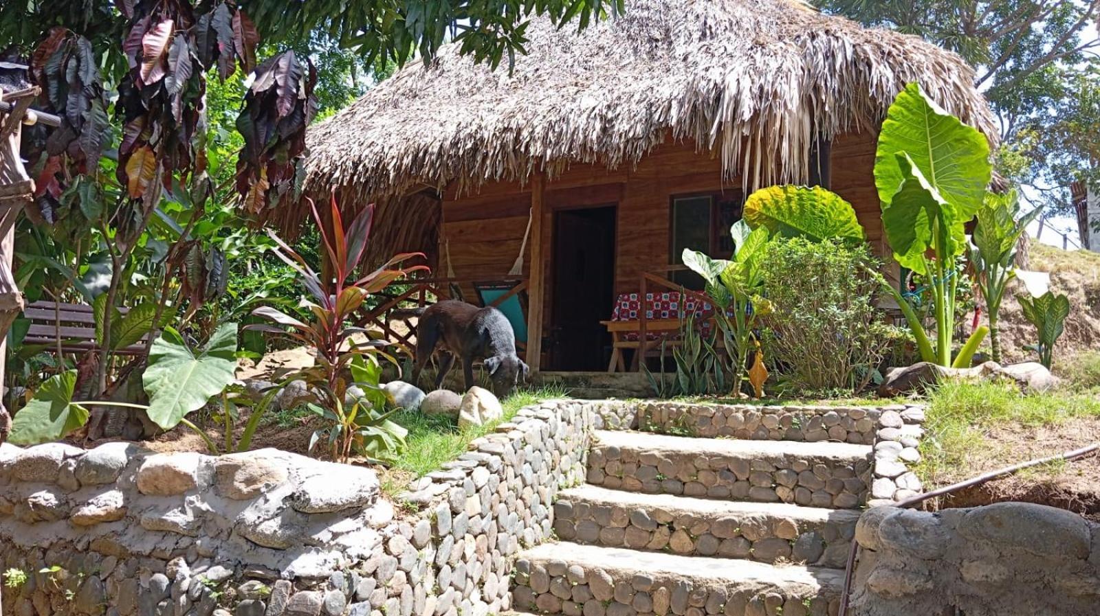 Ecocabanas Diosa Jaguar Tayrona La Esmeralda (Magdalena) Exterior foto