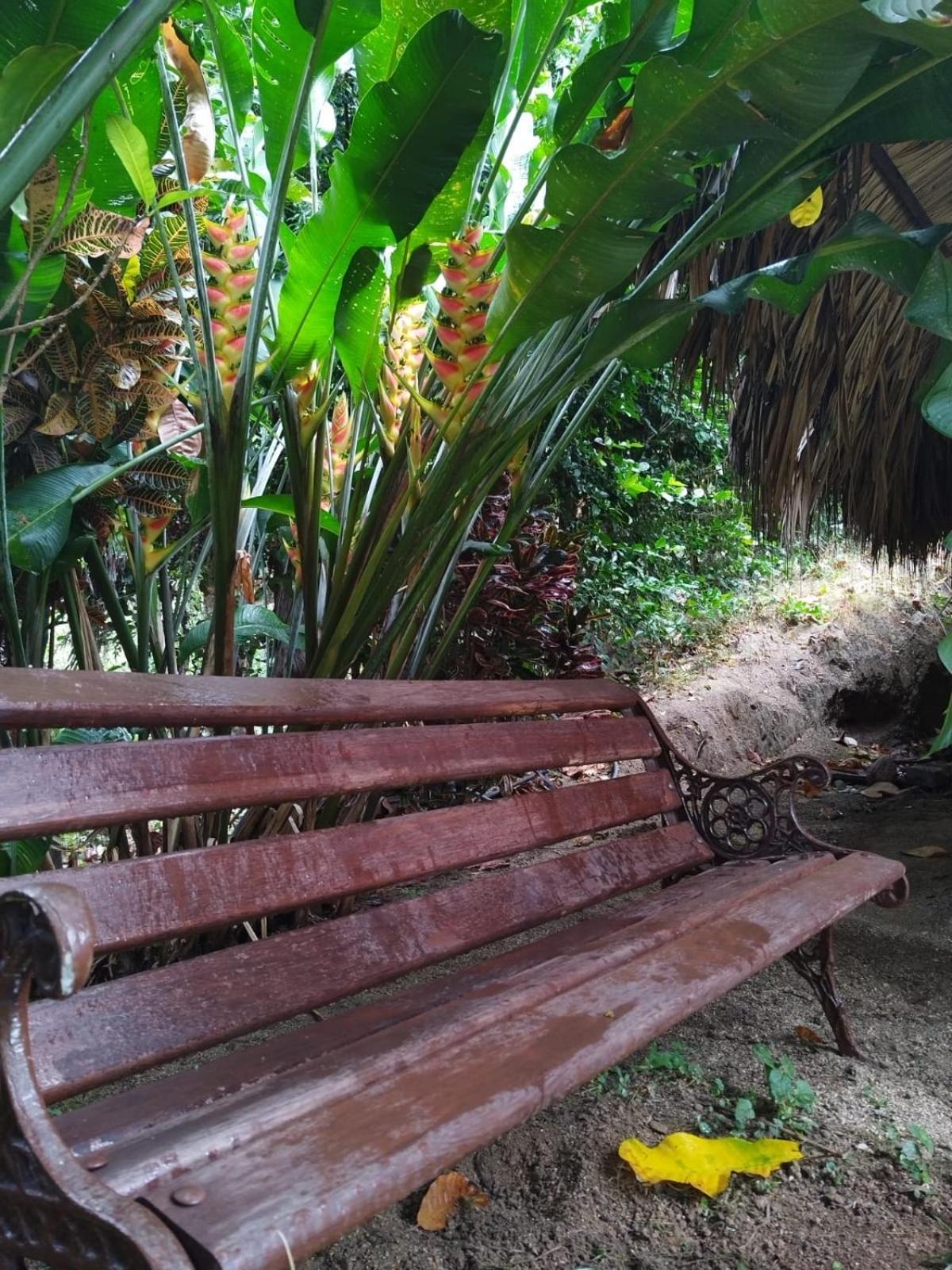 Ecocabanas Diosa Jaguar Tayrona La Esmeralda (Magdalena) Quarto foto