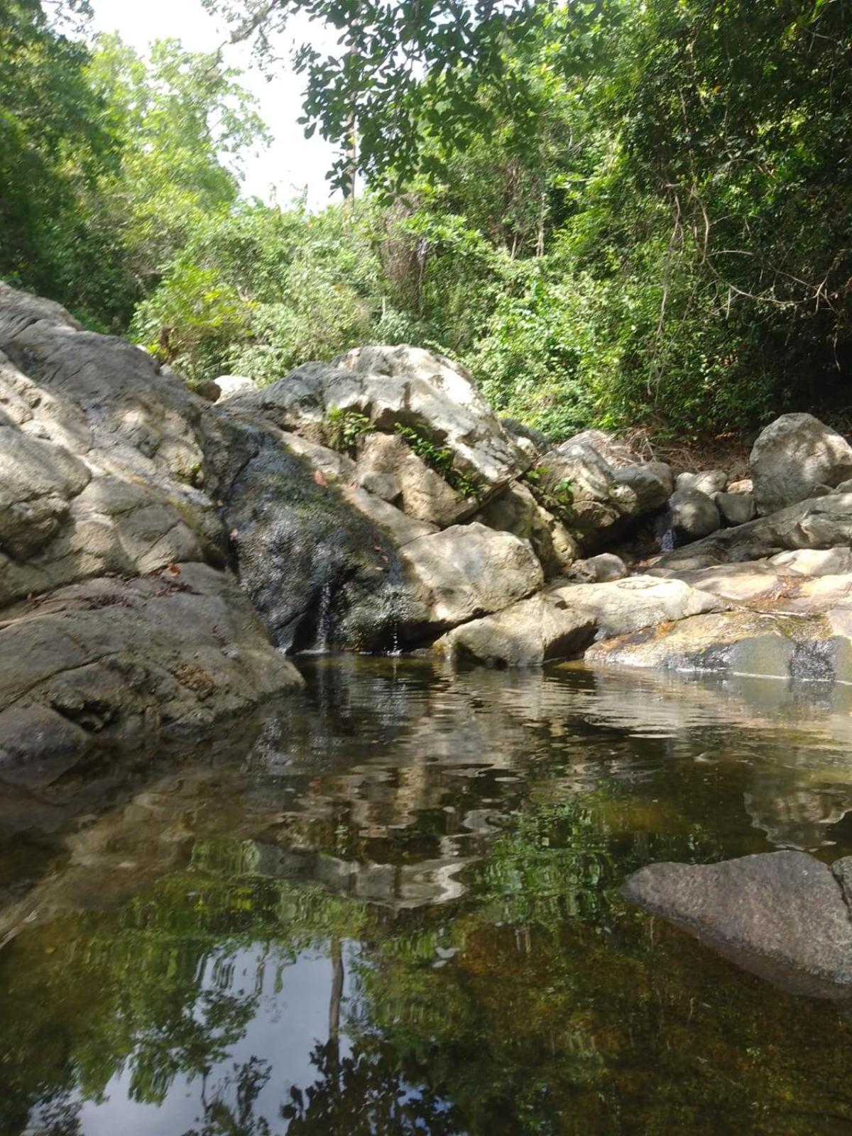 Ecocabanas Diosa Jaguar Tayrona La Esmeralda (Magdalena) Exterior foto