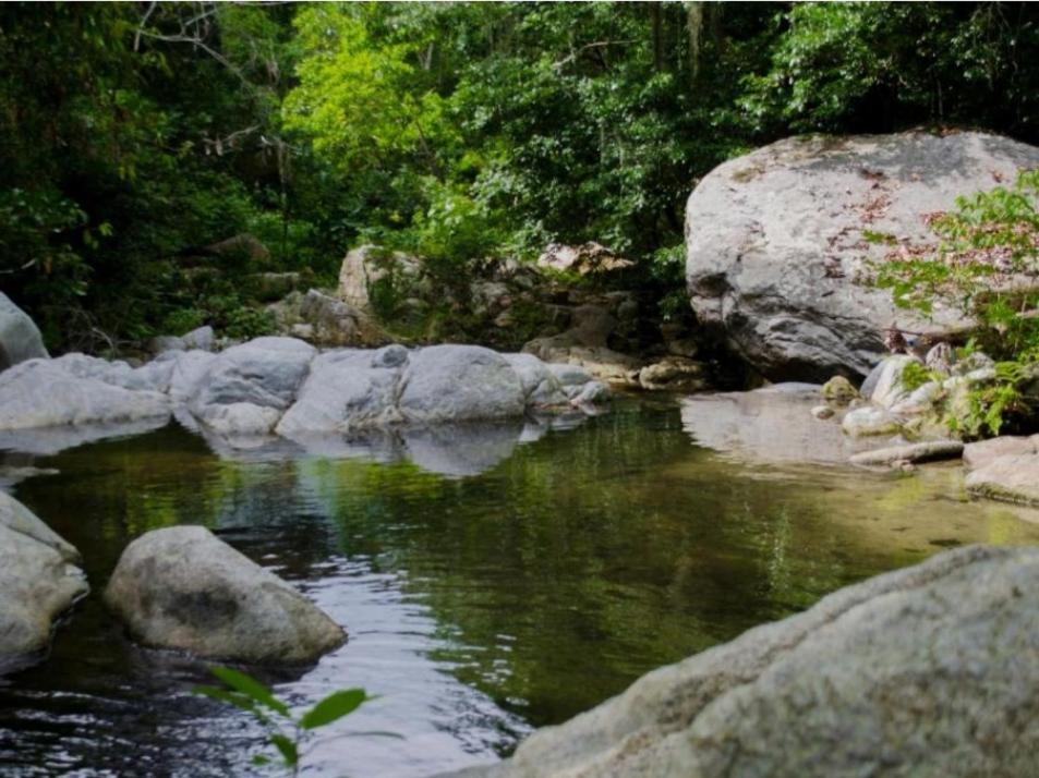Ecocabanas Diosa Jaguar Tayrona La Esmeralda (Magdalena) Exterior foto