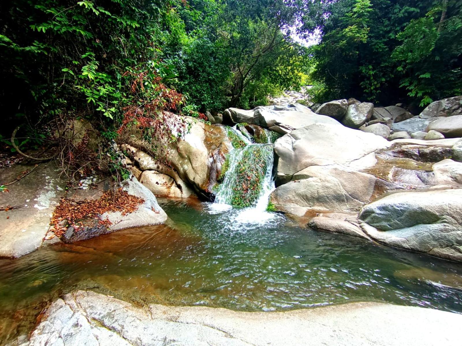 Ecocabanas Diosa Jaguar Tayrona La Esmeralda (Magdalena) Exterior foto